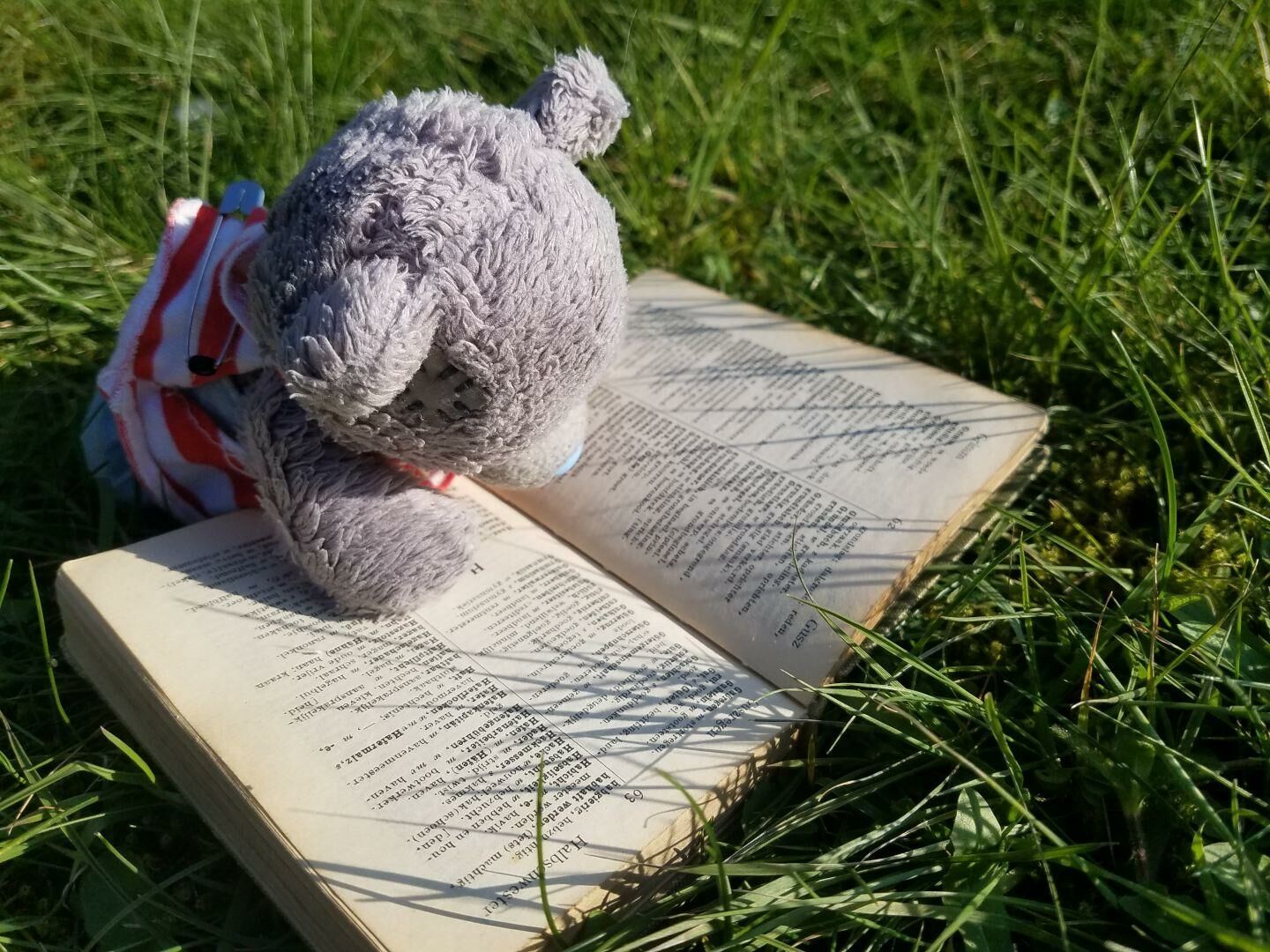 David à plat ventre dans l'herbe, penché sur un mini dictionnaire néerlandais